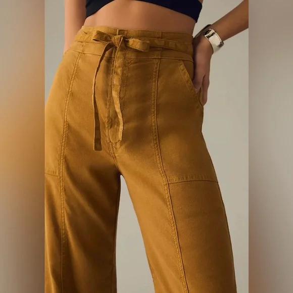 HUDSON (Anthropologie) Tie Waist Wide Leg Trouser in Desert Sand, Sz 32 - Picture 3 of 14